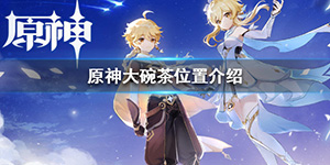 原神大碗茶在哪买
