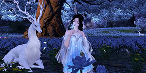 天涯明月刀手游帮贡怎么得