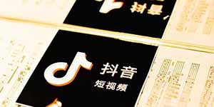 抖音王友梅是什么梗