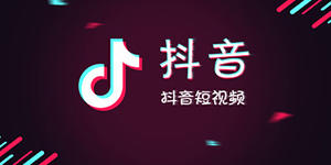 抖音最火四字词语