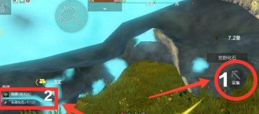 妄想山海盆部化石哪里多