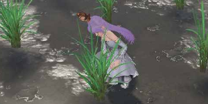 天谕手游生物怎么提升