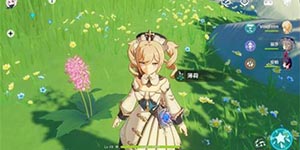 原神薄荷在哪里摘取