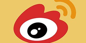 微博现实版樊胜美是什么梗