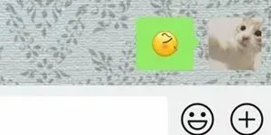 微信左哼哼去哪里了