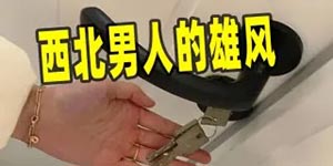 微博西北男人的雄风什么梗