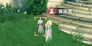 天谕手游天空之诗怎么做