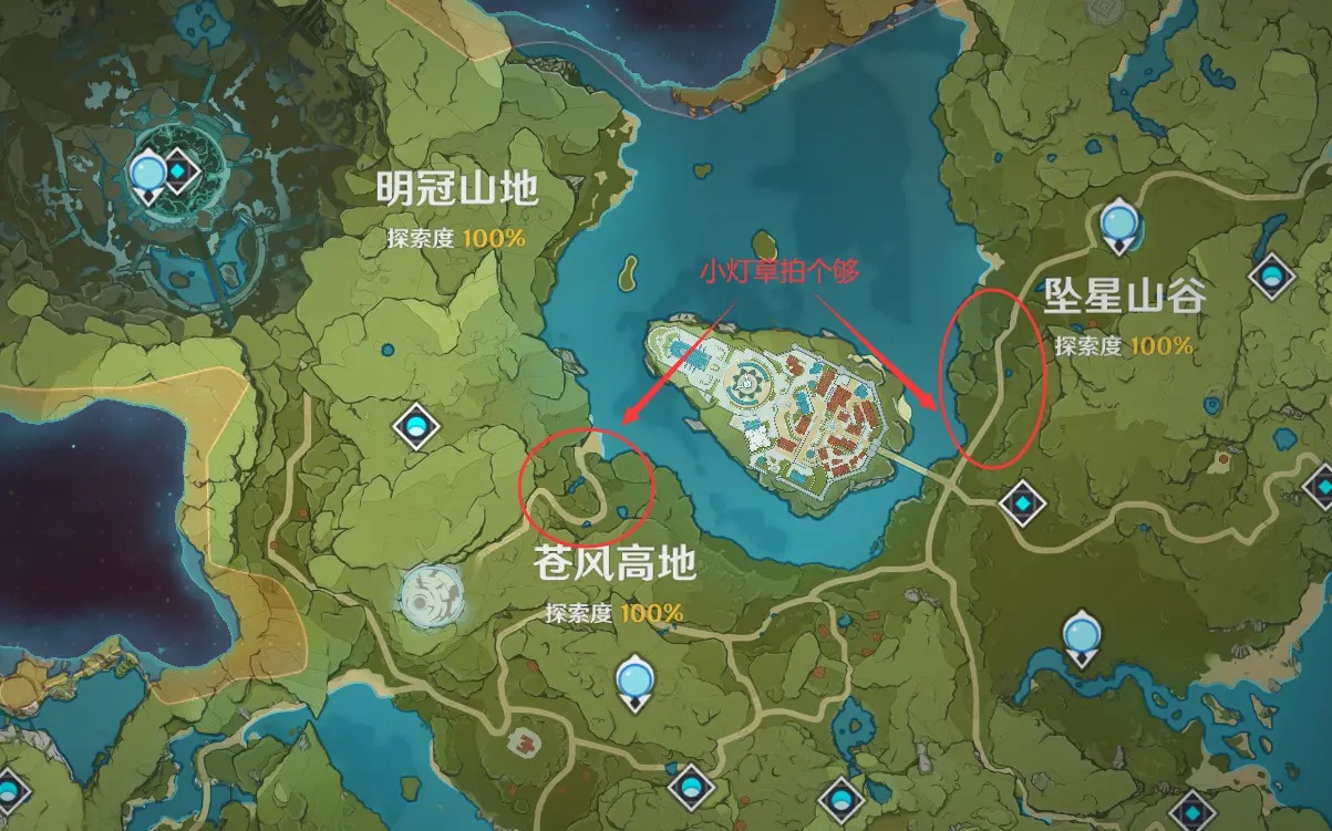 原神最容易完成今日拍照活动的地点