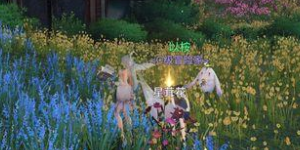 天谕手游神秘汐商破碎之虹在哪