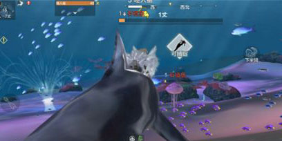 妄想山海石镜鱼在哪