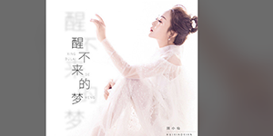 抖音你是我触碰不到的风是什么歌