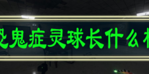 恐鬼症灵球长什么样