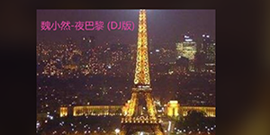 抖音你在巴黎某个角落和某人在看日落是什么歌