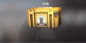 csgo开箱多少钱一次