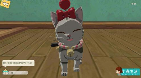 小森生活银猫币怎么获取