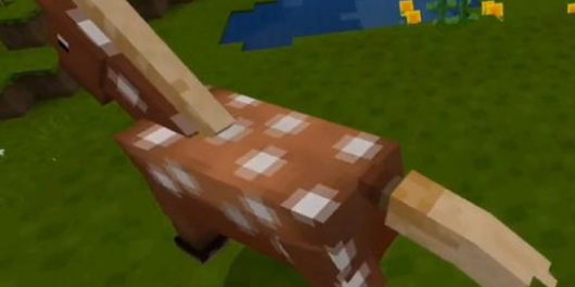 我的世界怎么驯服马