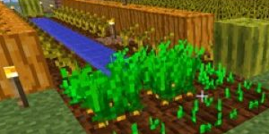 我的世界手游南瓜种子在哪