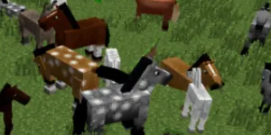 我的世界手游马在哪里找