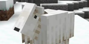 我的世界手游山羊怎么驯服