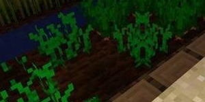 我的世界哪里有胡萝卜