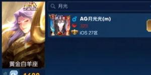 王者荣耀新皮肤体验卡怎么得