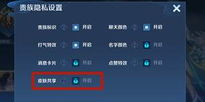 王者荣耀皮肤共享需要什么条件