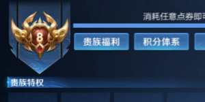 王者荣耀为什么有的名字是金色的