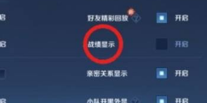 王者荣耀战绩怎么隐藏