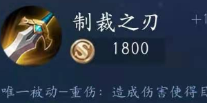 王者荣耀的制裁是哪件装备