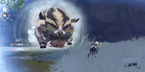 原神大雪猪王附近没火怎么打